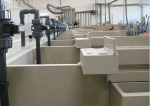 Ứng dụng thực tế của nhựa PP